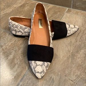 Pointed Toe Flats